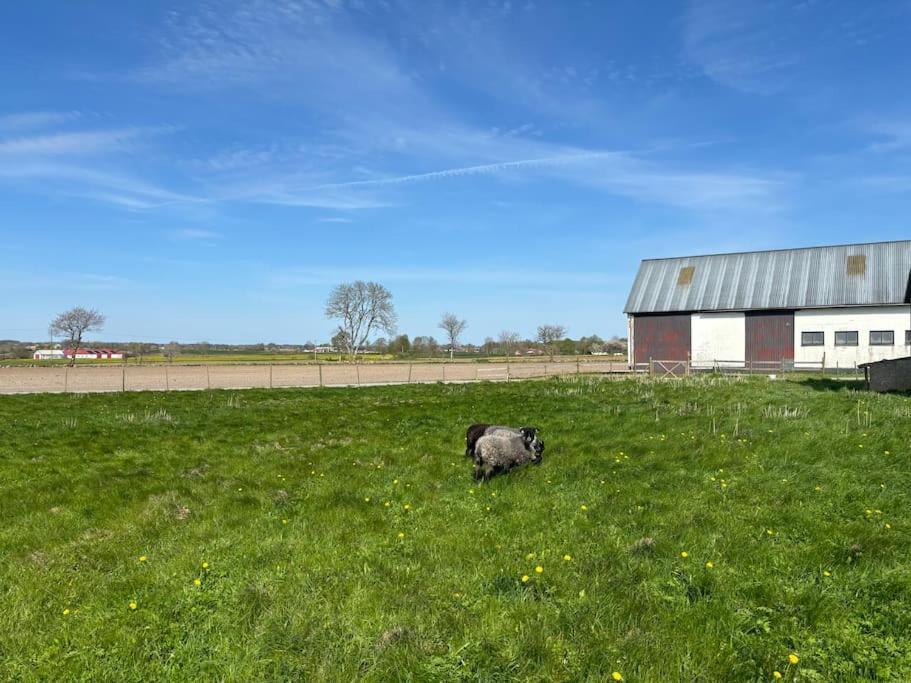 Oesterlen Oasis Spjutstorp Kültér fotó
